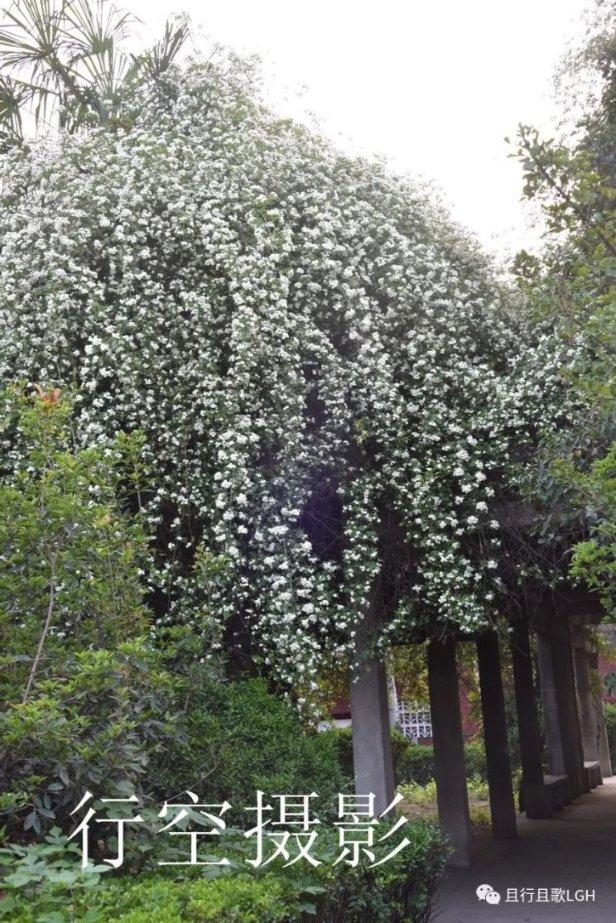 沪江开心词场