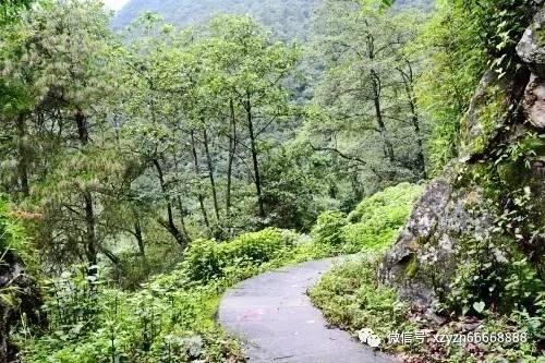 冷知识分享平台小米官方售后服务?,独一无二的知识之旅