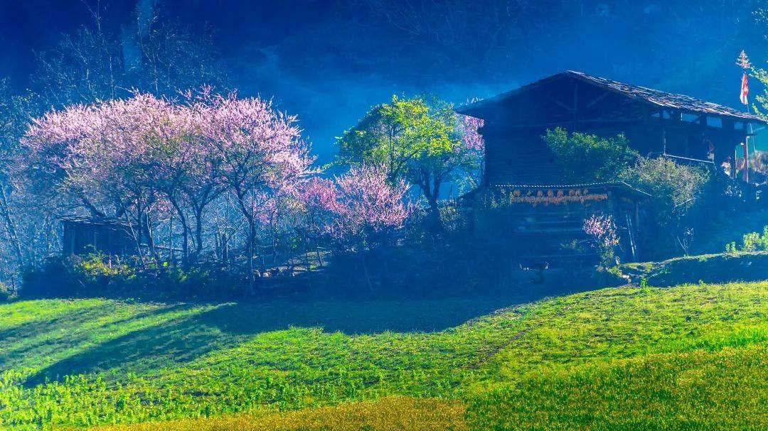 老人头痛的原因竟然是被蜱虫连吸数日，为什么蜱虫能寄生在人类的皮肤里呢？