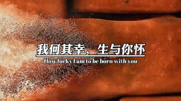 月光影视