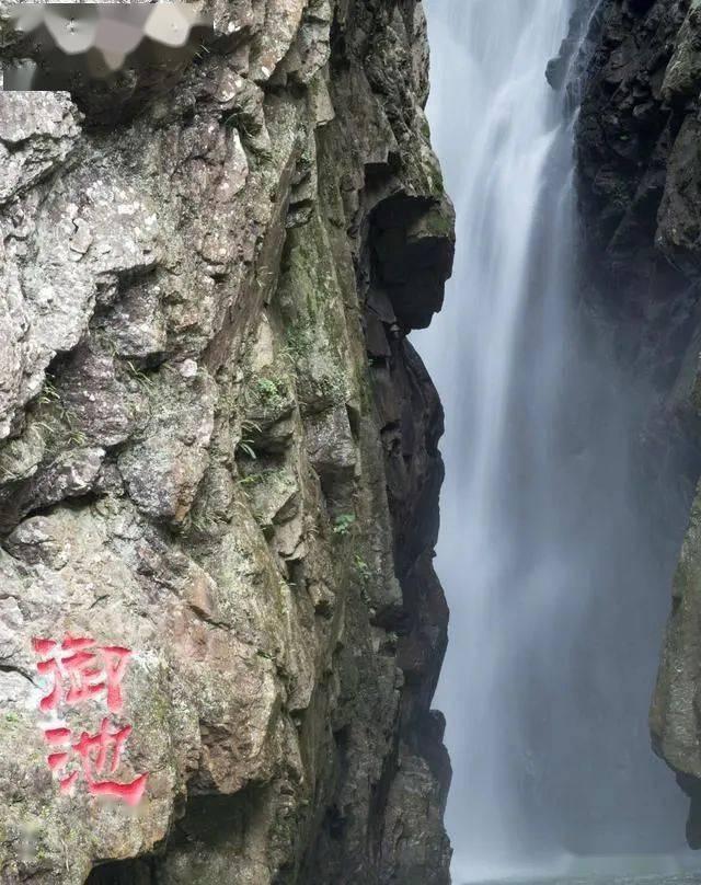 黑粉的英文-最专业的有问必答平台